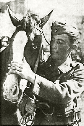 Кавказский кавалерист Вермахта